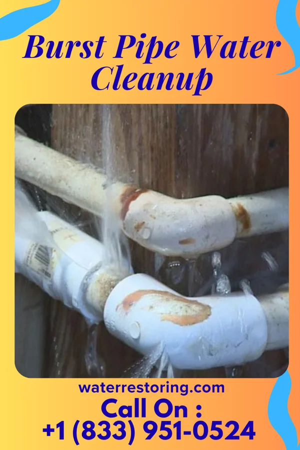 Burst Pipe Water Cleanup in Pleasant Valley, WV