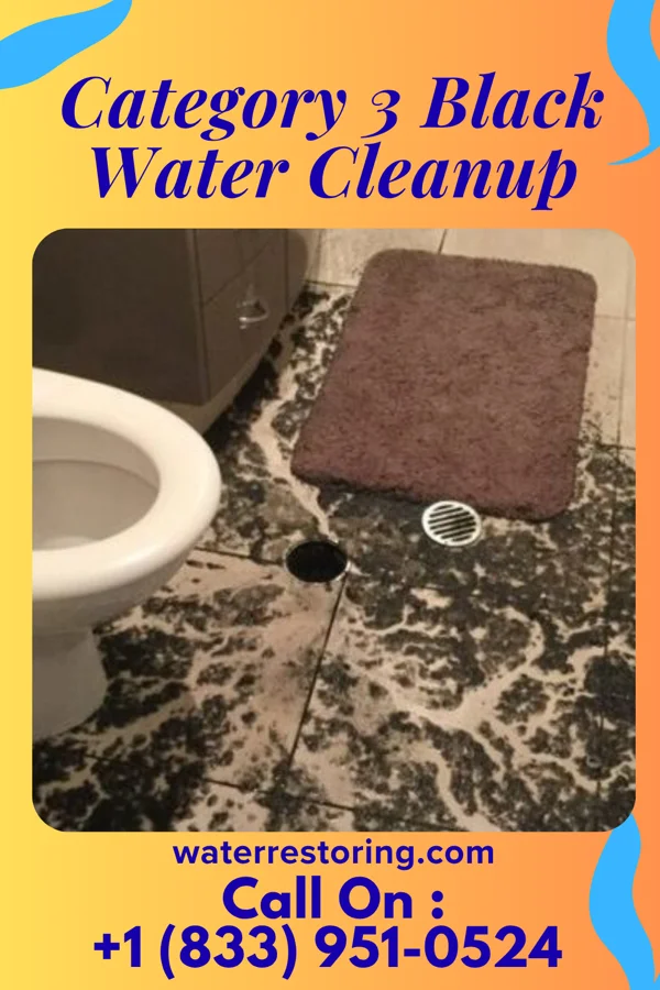 Category 3 Black Water Cleanup in Pleasant Valley, WV