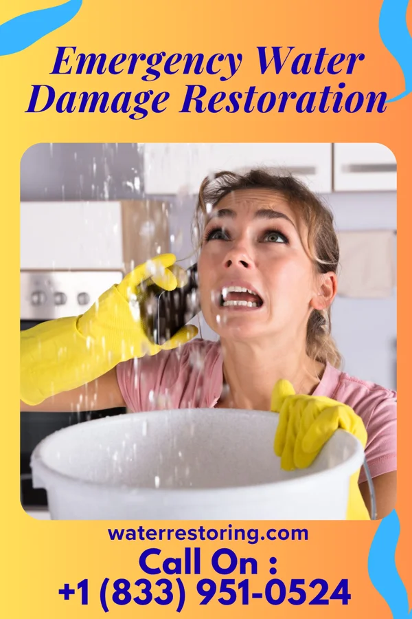 Emergency Water Damage Restoration in Pleasant Valley, WV