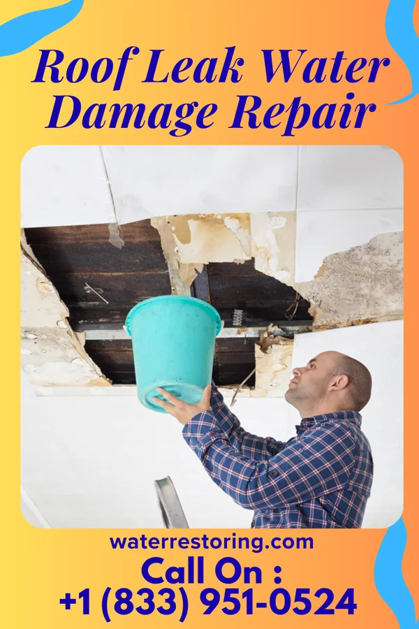 Roof Leak Water Damage Repair in Pleasant Valley, WV