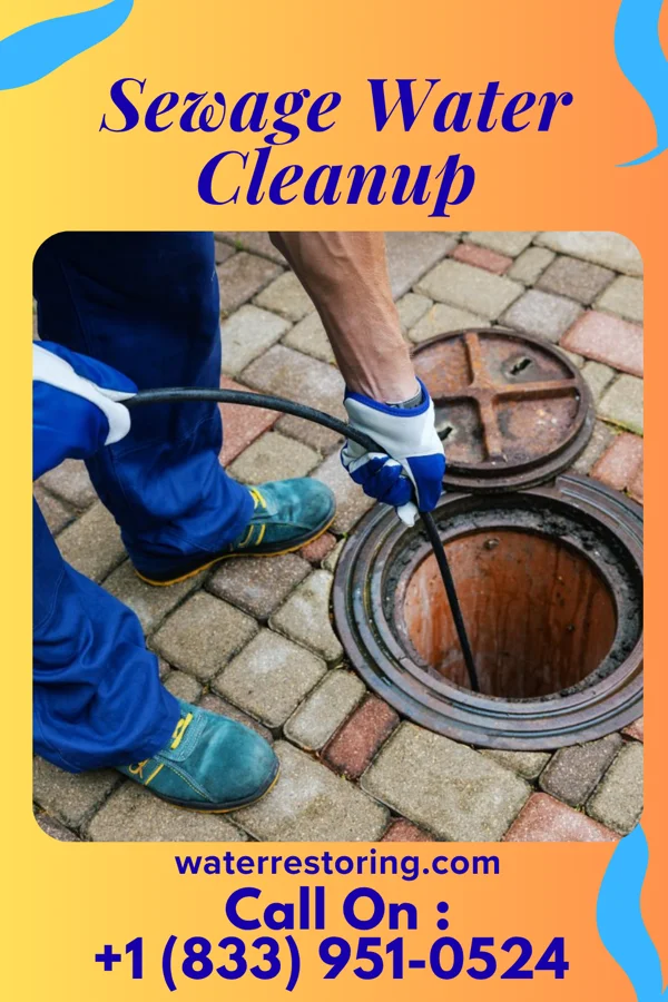 Sewage Water Cleanup in Pleasant Valley, WV