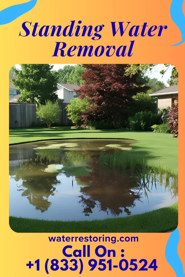 Standing Water Removal in Pleasant Valley, WV